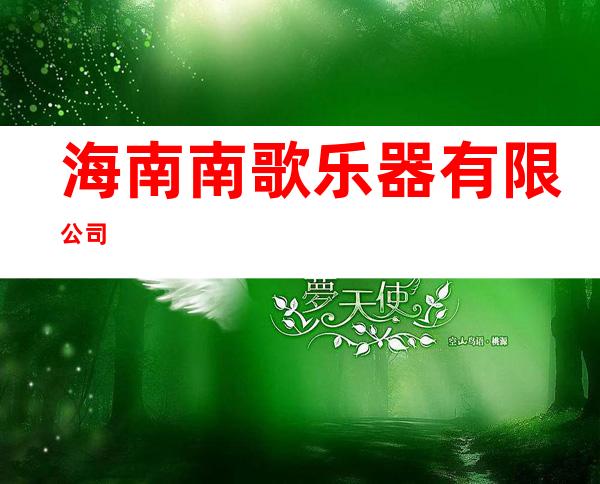 海南南歌乐器有限公司